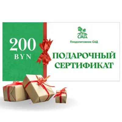 Подарочный сертификат на 200 BYN в Туле