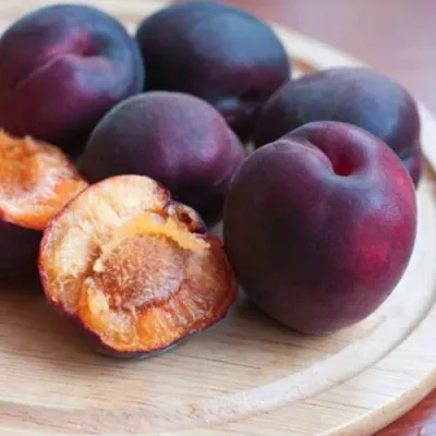 Абрикос ЧЕРНЫЙ БАРХАТ в Туле