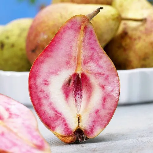 Груша БЛЮТБЕРН  Груша БЛЮТБЕРН в Туле