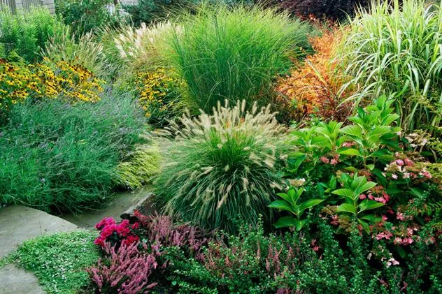 Обновление ассортимента саженцев многолетних трав на осень 2025 года