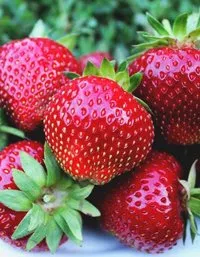 c008e0e7c59811ea80e20cc47a28e351_8b784a1d14c011ed80f30cc47a28e351.resize1.jpeg c008e0e7c59811ea80e20cc47a28e351_8b784a1d14c011ed80f30cc47a28e351.resize1.jpeg