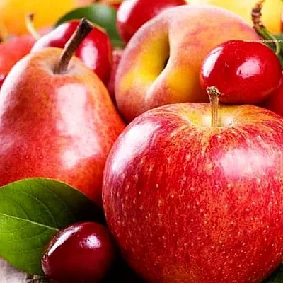 Плодовые деревья  Плодовые деревья в Туле