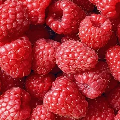 Летняя  Летняя в Туле